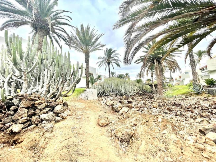 Con Piscina Sur De Tenerife